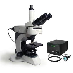 Fluorescence Microscopes